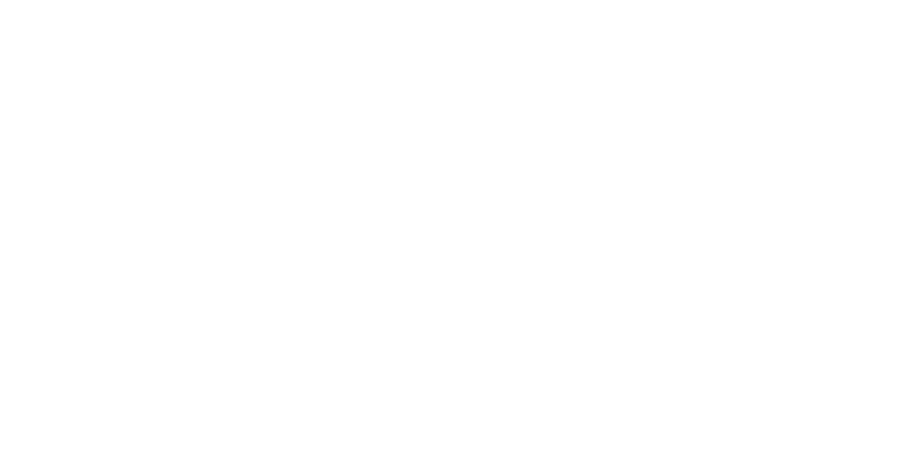 Buttonnoseworkshop Logo